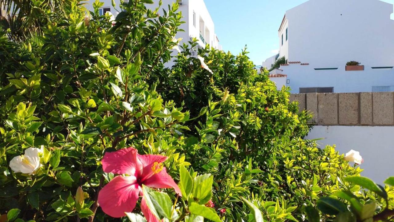 Parque Don Jose, Casa Antonella Costa Del Silencio Bagian luar foto